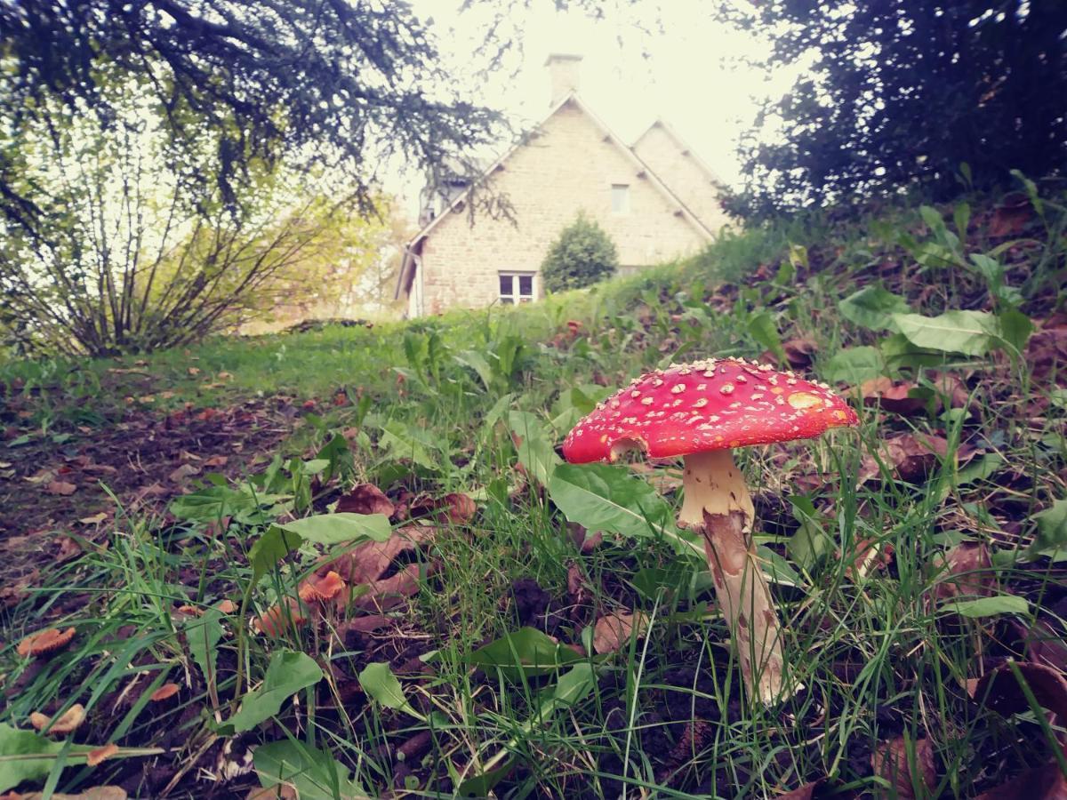 Maison Du Tertre Lonlay-l'Abbaye Luaran gambar
