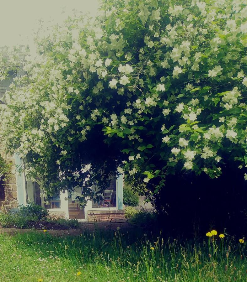 Maison Du Tertre Lonlay-l'Abbaye Luaran gambar